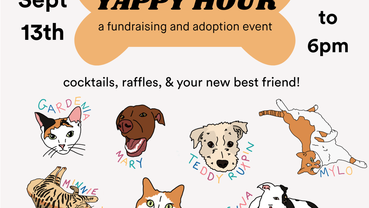 Yappy Hour: Linus & Friends fundraiser and adoption event